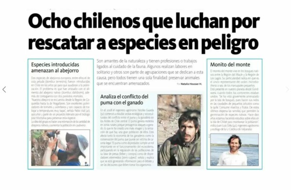 Prensa, Diario La Hora, Fotógrafo quiere retratar a todas las especies de abejas nativas