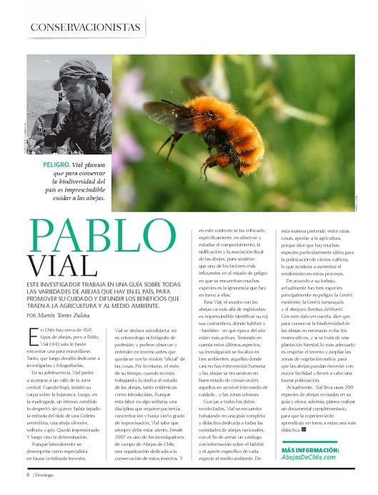 Prensa, Pablo Vial, conservacionista, abejas nativas de Chile