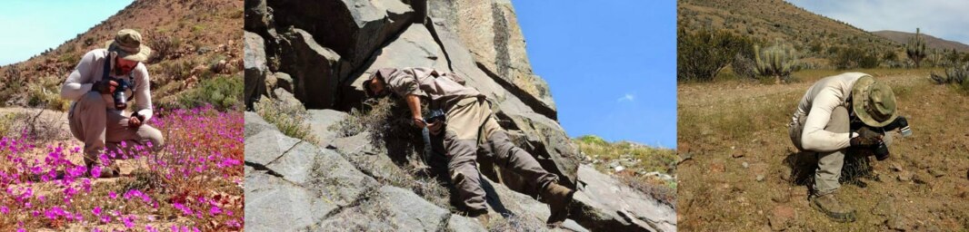 Expedición Fundación Abejas de Chile