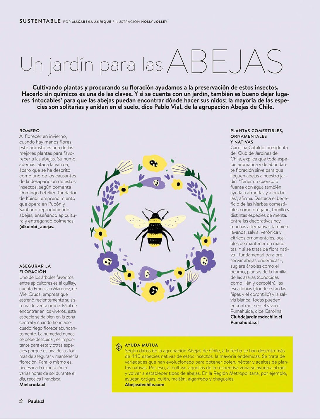Prensa, abejas, cómo ayudar, Fundación Abejas de Chile