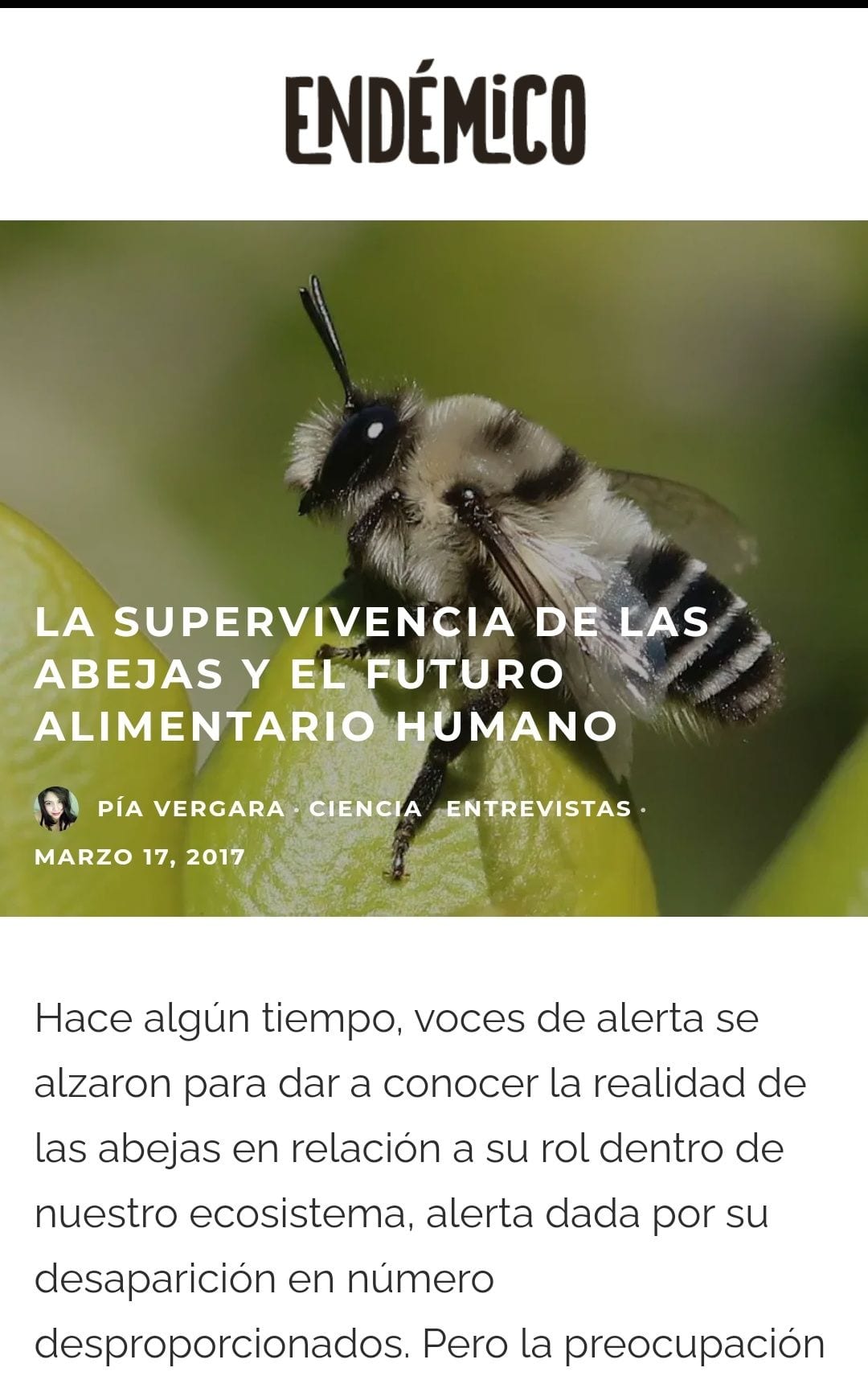 Prensa, reportaje Fundación Abejas de Chile