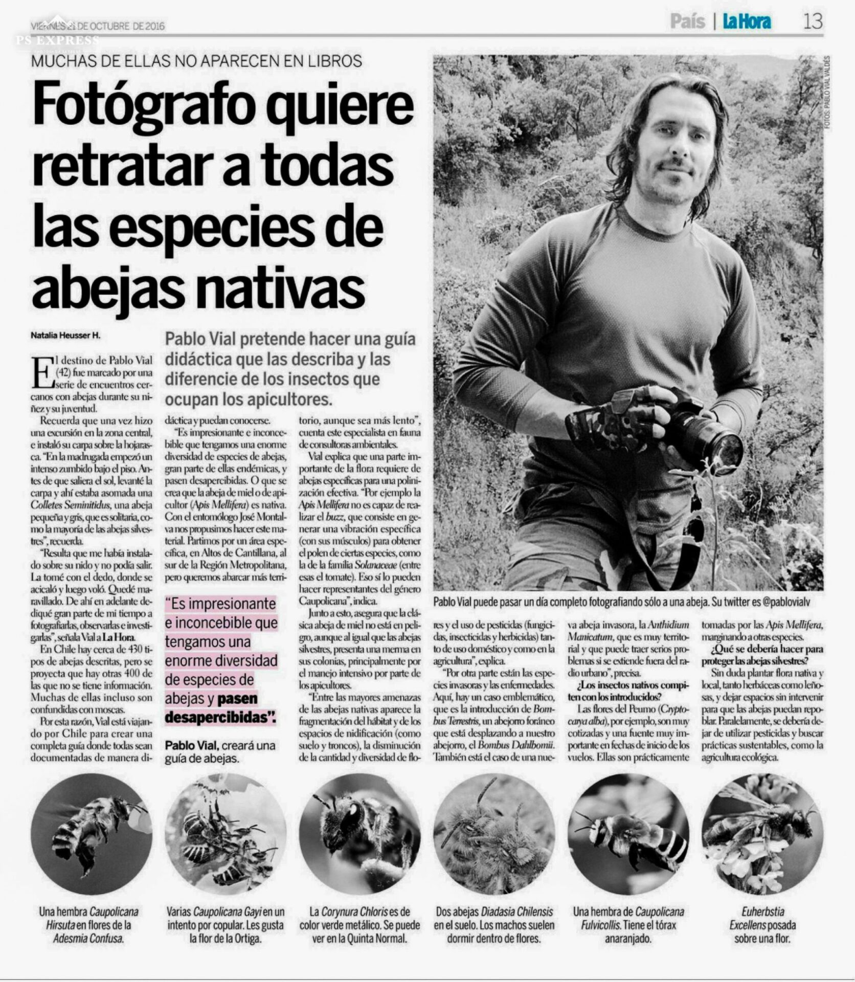 Pablo Vial en terreno, imagen de reportaje, Abeja Viva