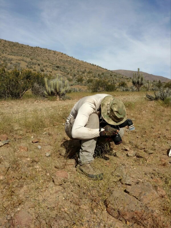 Trabajo de campo Fundación Abejas de Chile