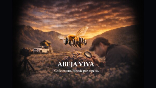 Abeja Viva, Chile entero, especie por especie