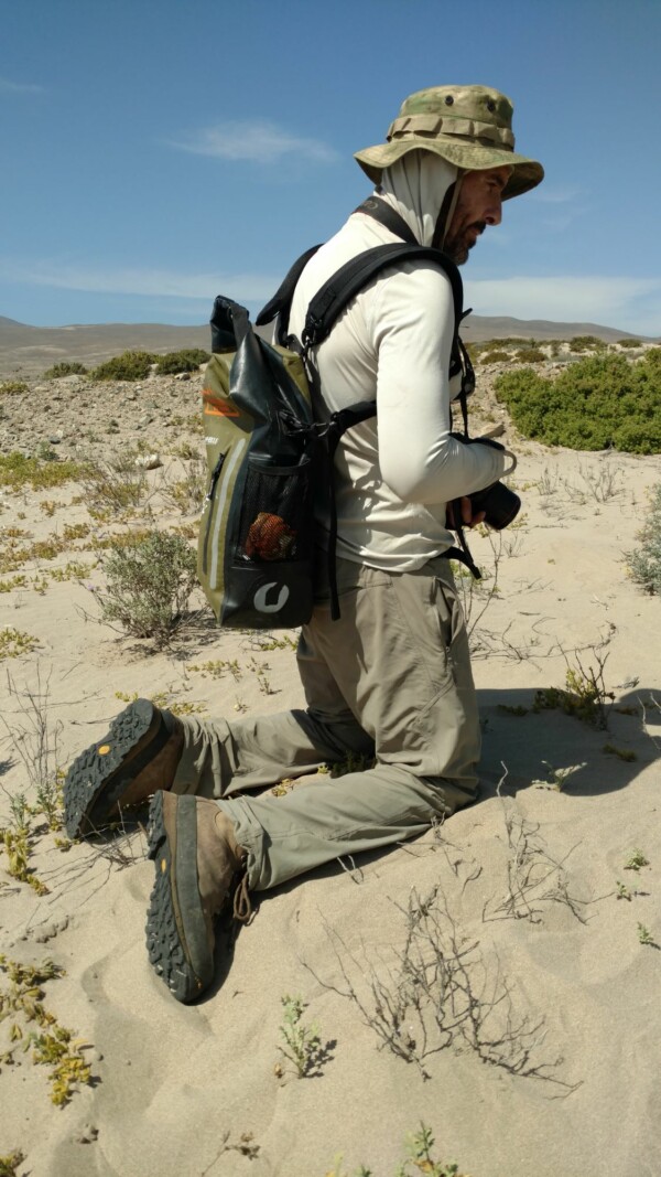 Terreno y observación ecológica