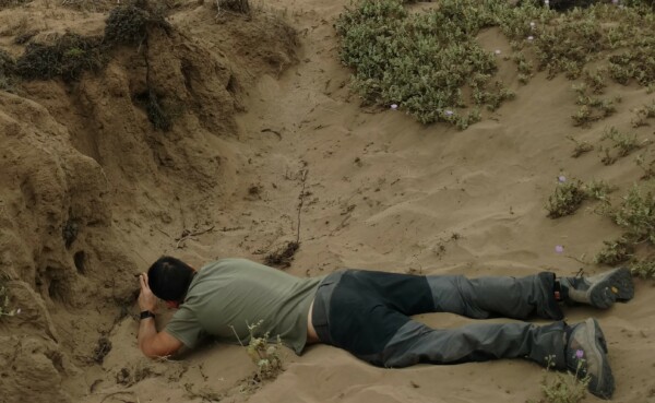 Pablo Vial Valdés estudiando nidos de Caupolicana en terreno
