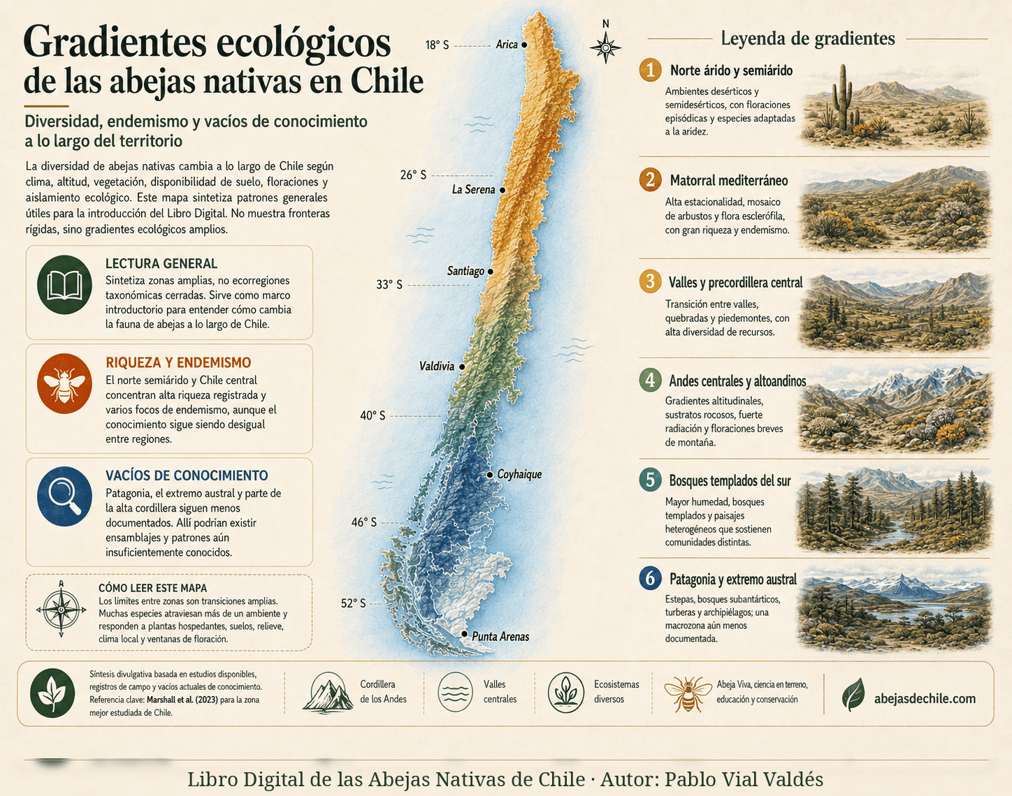 Mapa de gradientes ecológicos y ecorregiones de abejas nativas en Chile central