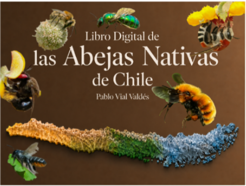 Portada del Libro Digital de las Abejas Nativas de Chile