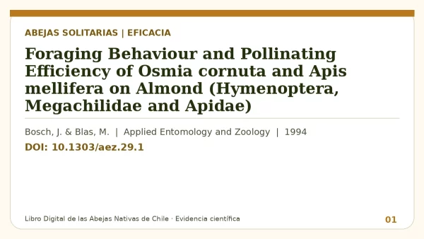 Título y DOI del estudio: Foraging Behaviour and Pollinating Efficiency of Osmia cornuta and Apis mellifera on Almond (Hymenoptera, Megachilidae and Apidae)