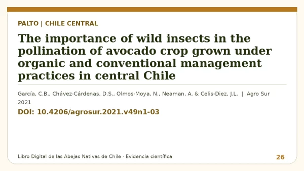 Título y DOI del estudio: The importance of wild insects in the pollination of avocado crop grown under organic and conventional management practices in central Chile