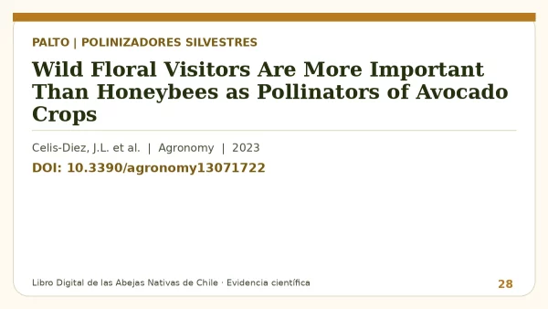 Título y DOI del estudio: Wild Floral Visitors Are More Important Than Honeybees as Pollinators of Avocado Crops