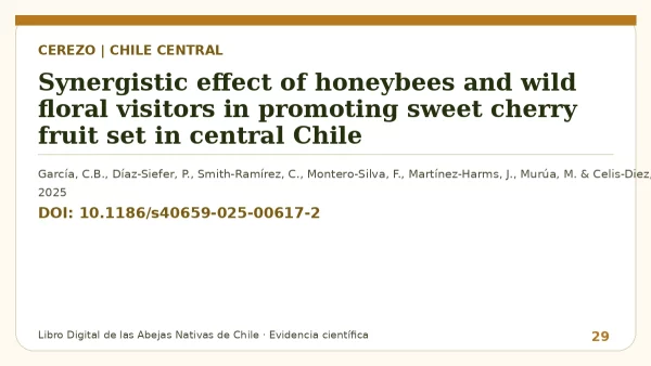 Título y DOI del estudio: Synergistic effect of honeybees and wild floral visitors in promoting sweet cherry fruit set in central Chile